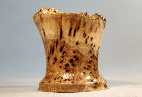  Handmade Decorative Wooden Bowl / Elm Burl Wood